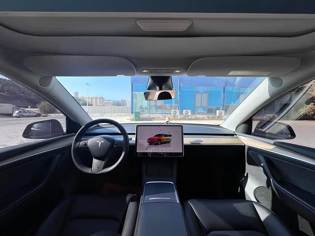 Tesla Model Y — миниатюра 12