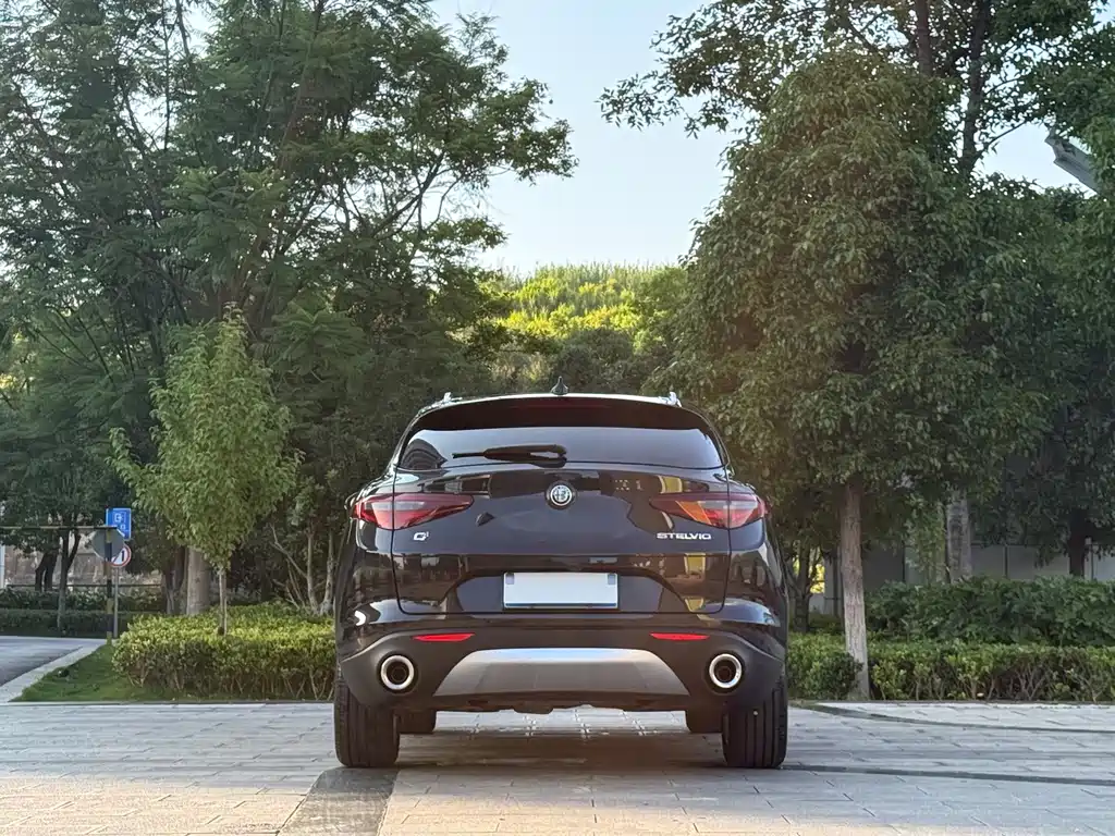 Alfa Romeo Stelvio 2.0T 200HP Luxury Edition, фото 8