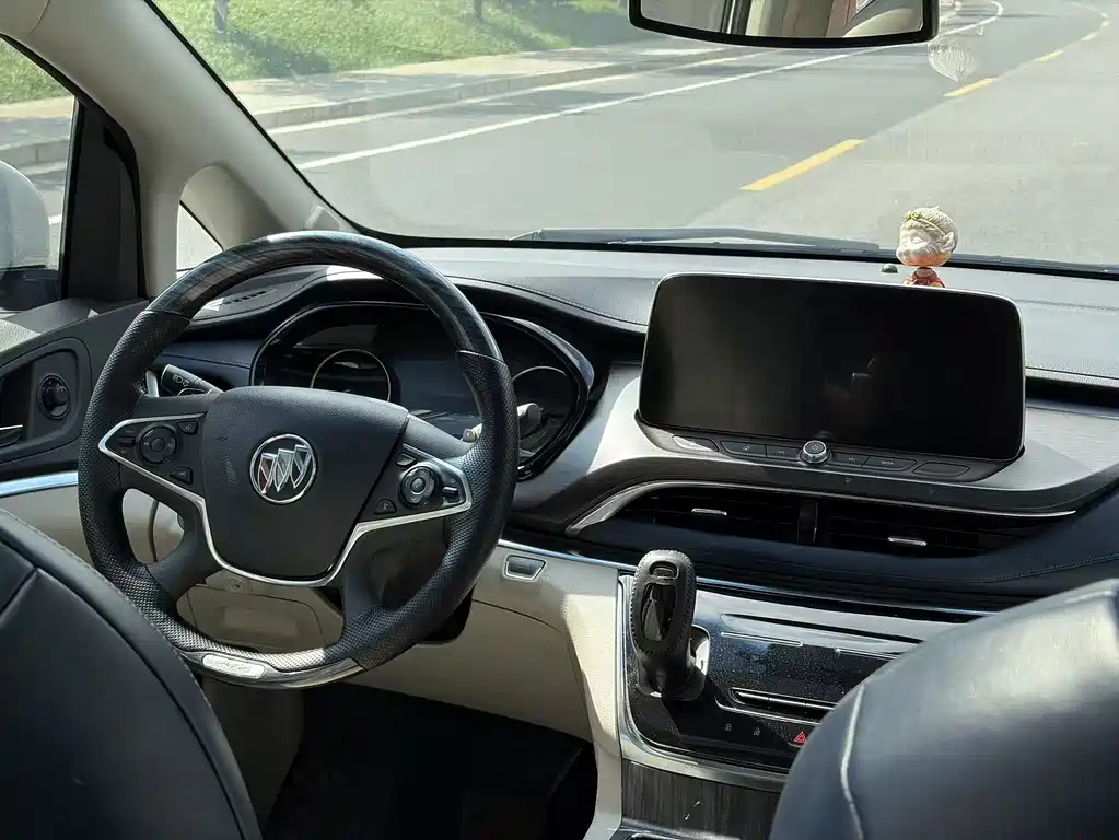 Buick GL8 — миниатюра 16