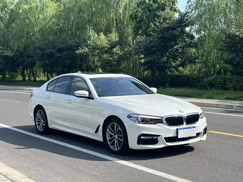 BMW 5 Series (Import) — миниатюра 2