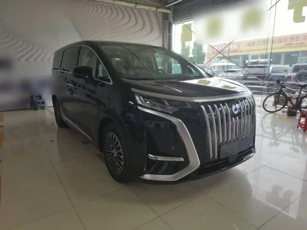 Denza Denza D9 — миниатюра 4