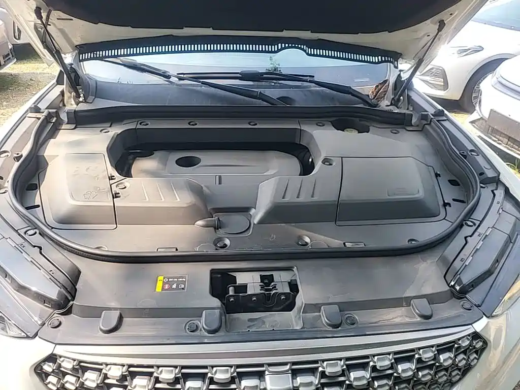 Wey Wey VV6 — миниатюра 25