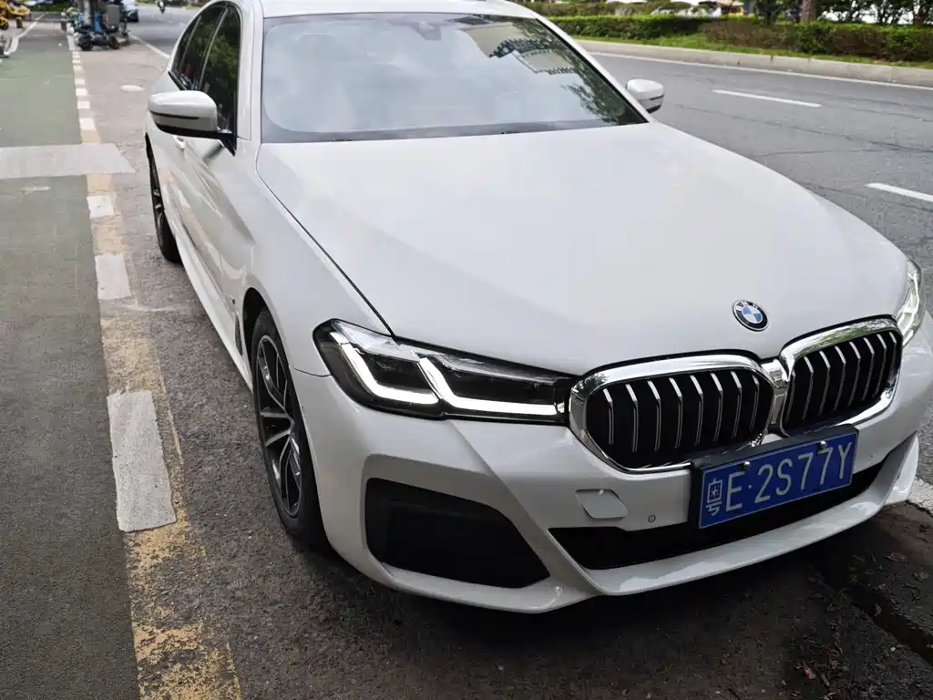 BMW 5 Series (Import) — миниатюра 3
