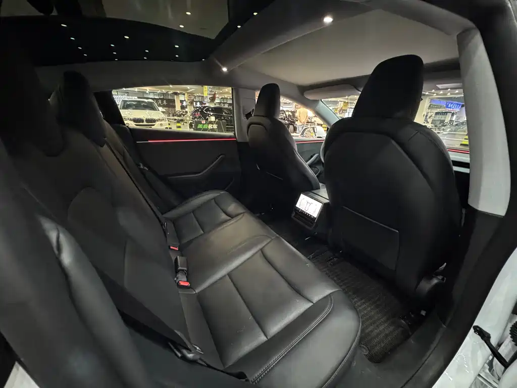 Tesla Model 3 — миниатюра 15