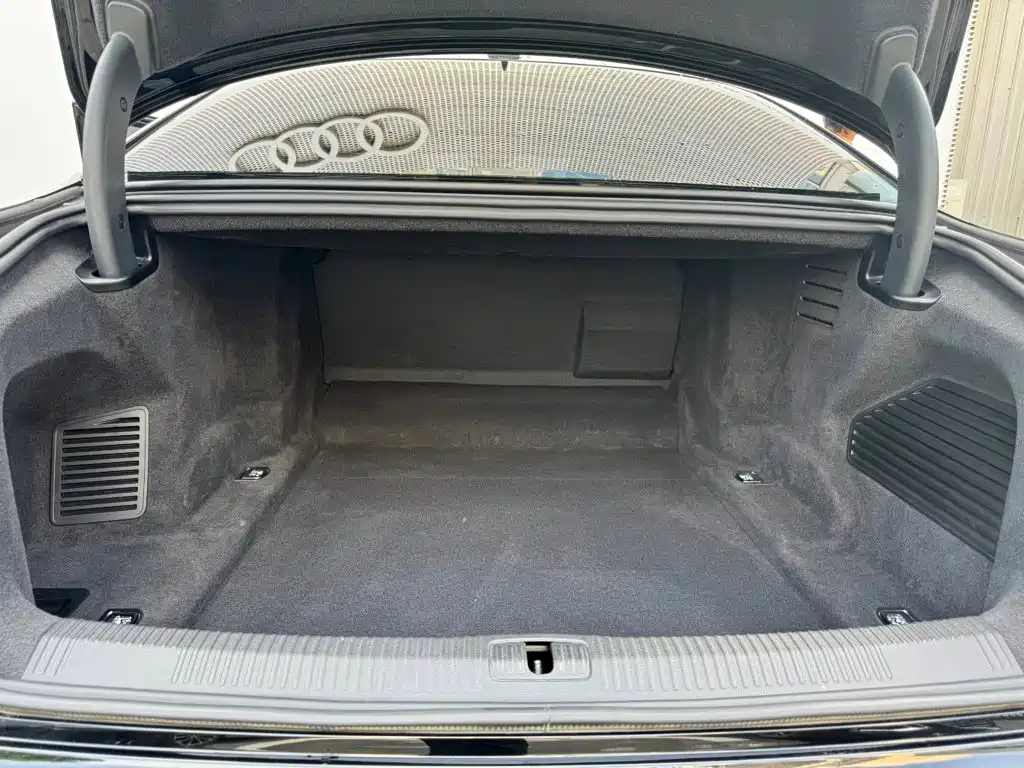 Audi A8 — миниатюра 11