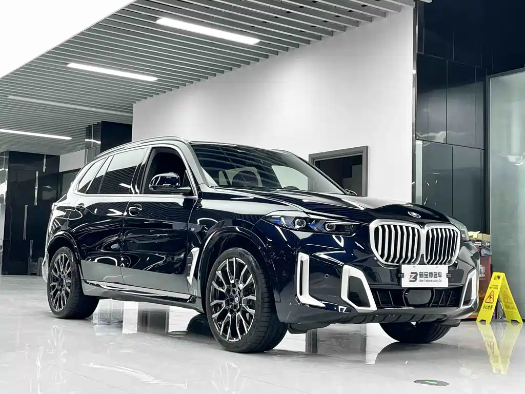 BMW X5 — миниатюра 3