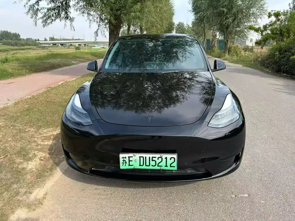 Tesla Model Y — миниатюра 2