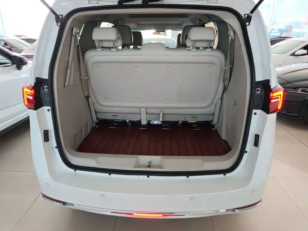Buick GL8 — миниатюра 19