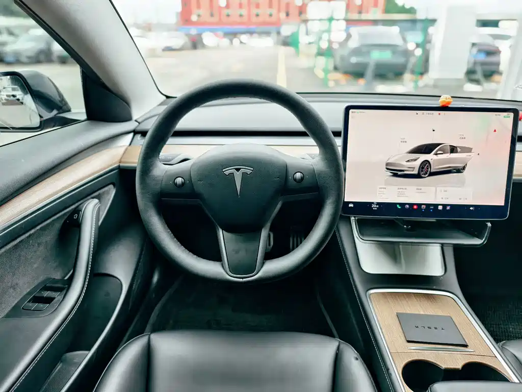 Tesla Model 3 — миниатюра 16