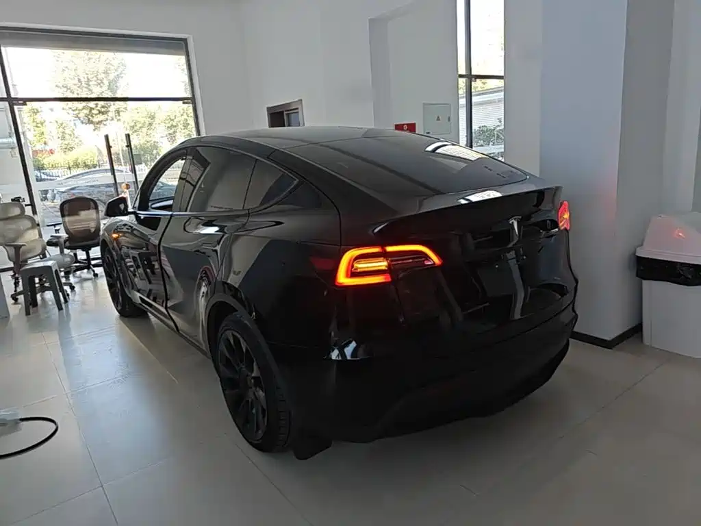 Tesla Model Y — миниатюра 5