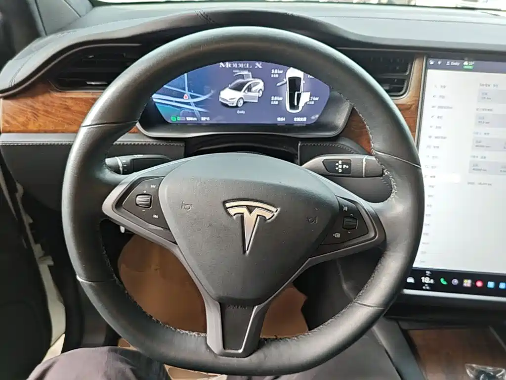 Tesla Model X — миниатюра 11