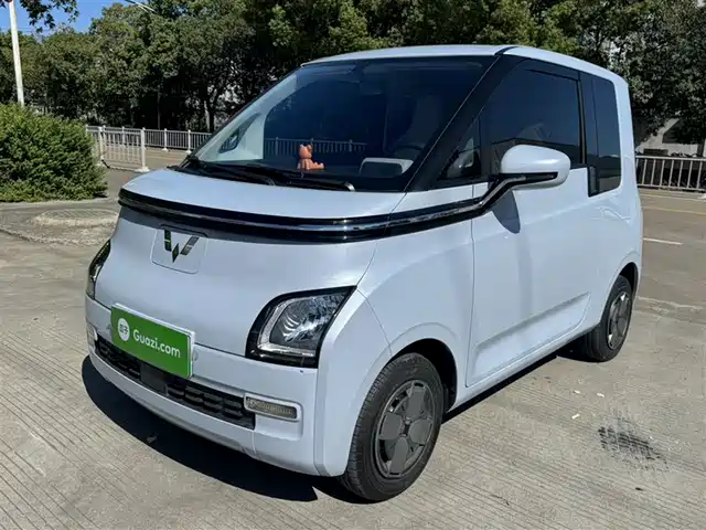 WULING AUTOMOBILE WULING AIR EV CLEAR SKY 2024