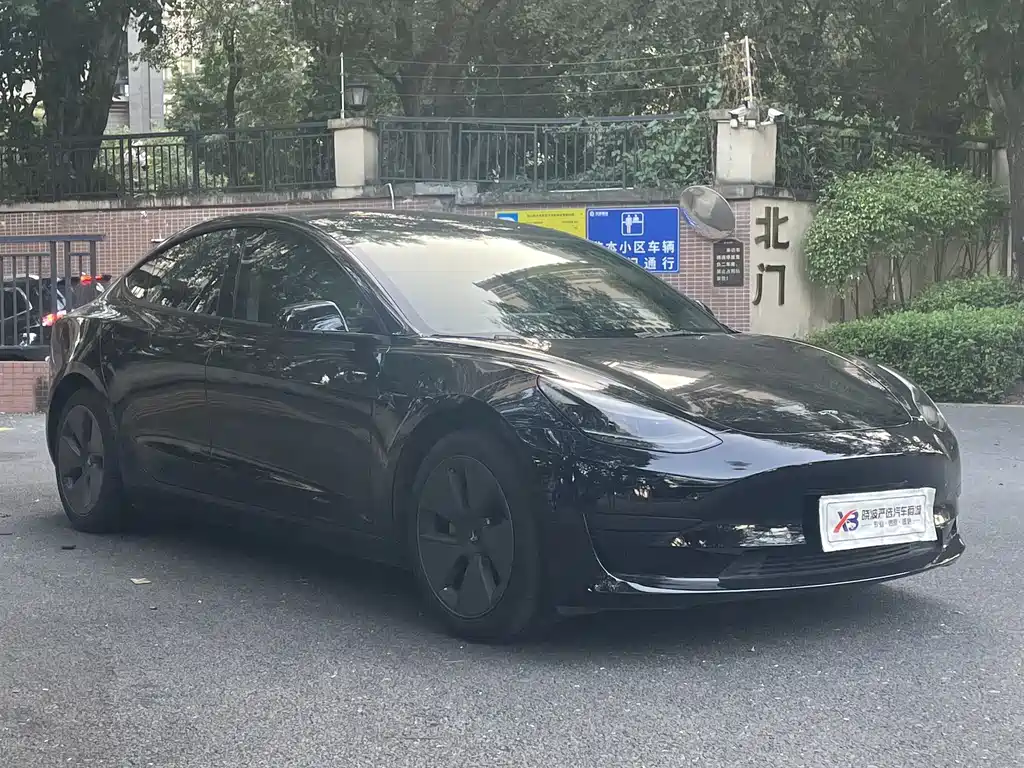 Tesla Model 3 — миниатюра 3