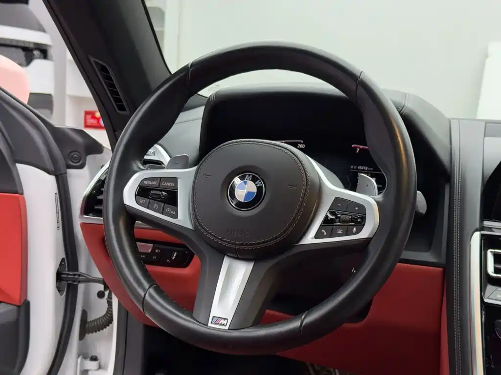 BMW 8 Series — миниатюра 13