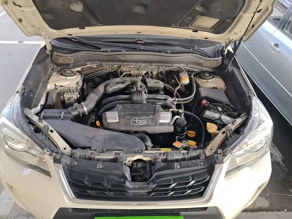 Subaru Forester — миниатюра 20