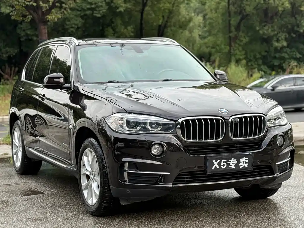 BMW X5 (Import) — миниатюра 3