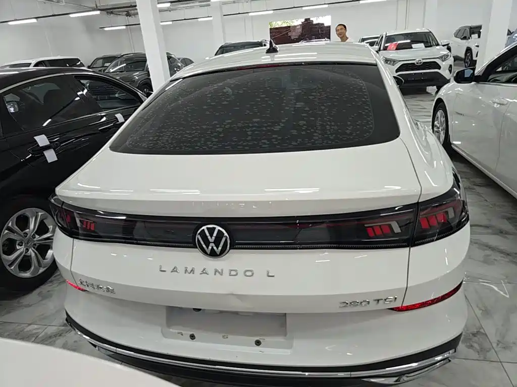 Volkswagen Lamando — миниатюра 6