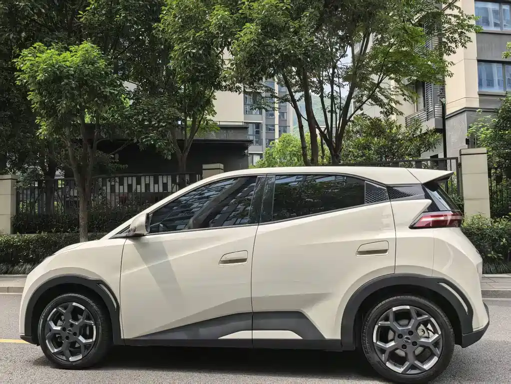 BYD Seagull 2025 405km Flying
