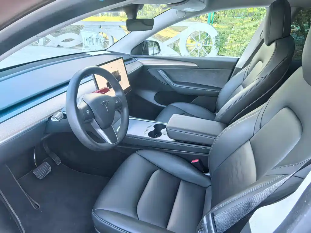 Tesla Model Y — миниатюра 9