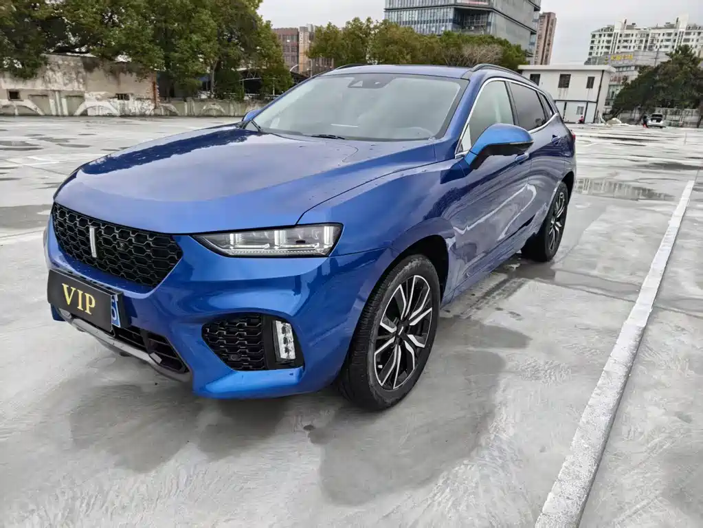 WEI PAI WEI BRAND VV7