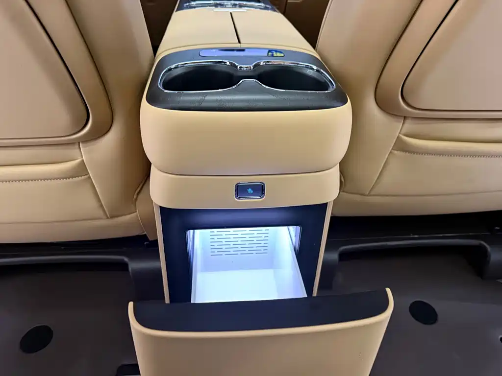 Denza Denza D9 — миниатюра 18