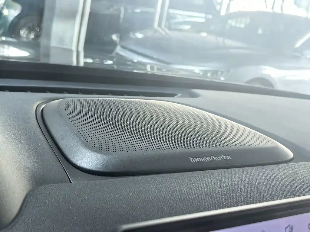Lynk & Co Рука 900. — миниатюра 24