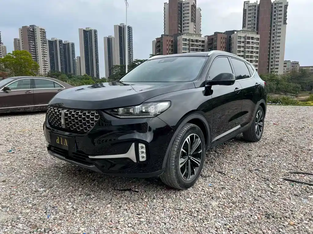 WEI PAI WEI BRAND VV6