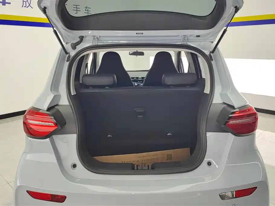 Leapmotor T03 2025 310
