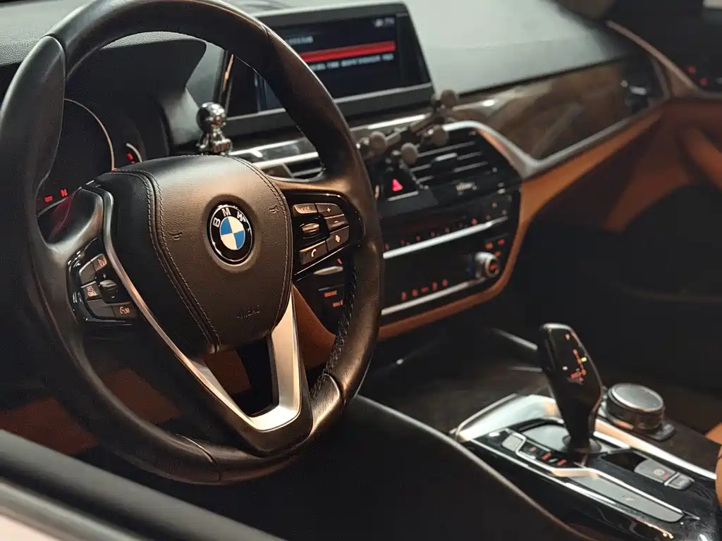 BMW 5 Series — миниатюра 5