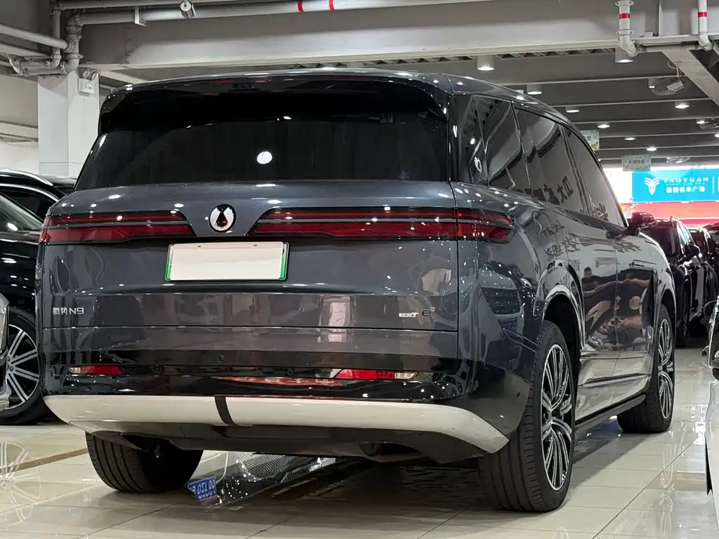 Denza Denza N9 — миниатюра 21