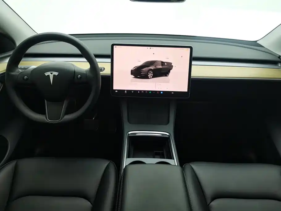 Tesla Model Y — миниатюра 12