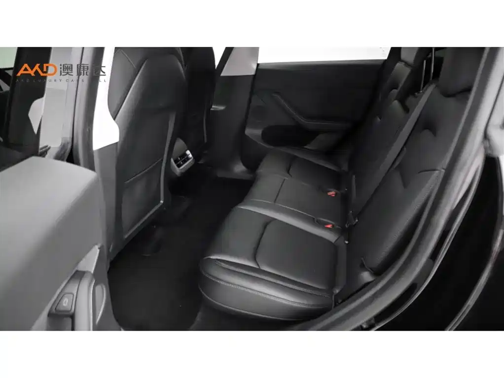 Tesla Model Y — миниатюра 7