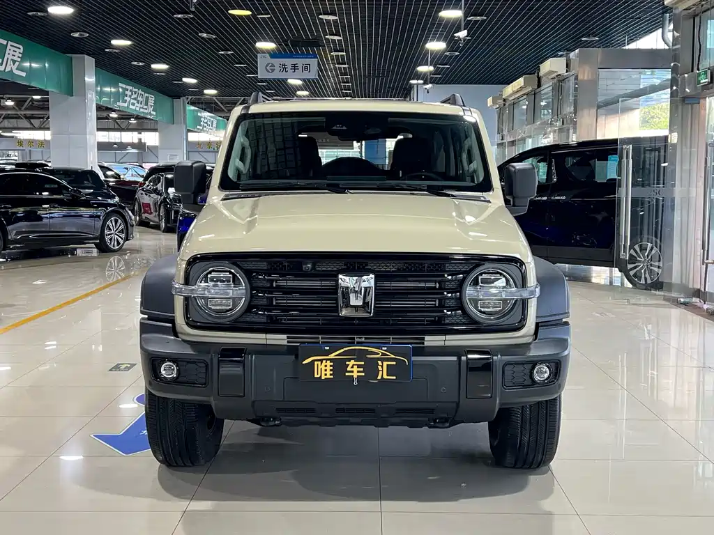 Tank 300 2.0T Gasoline Conqueror