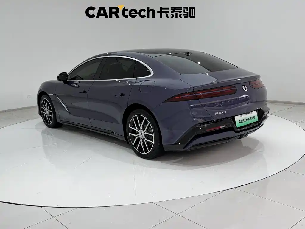 Denza Denza Z9 — миниатюра 2