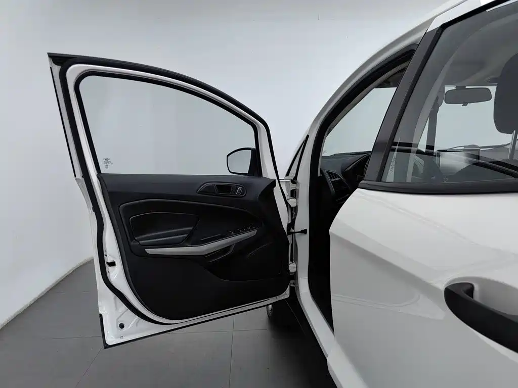 Ford Ecosport — миниатюра 8