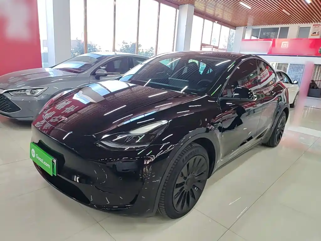 Tesla Model Y — миниатюра 2