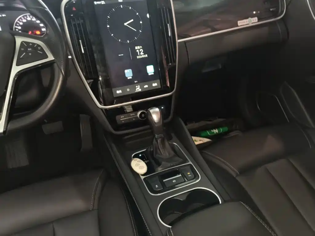 BYD MAX — миниатюра 14