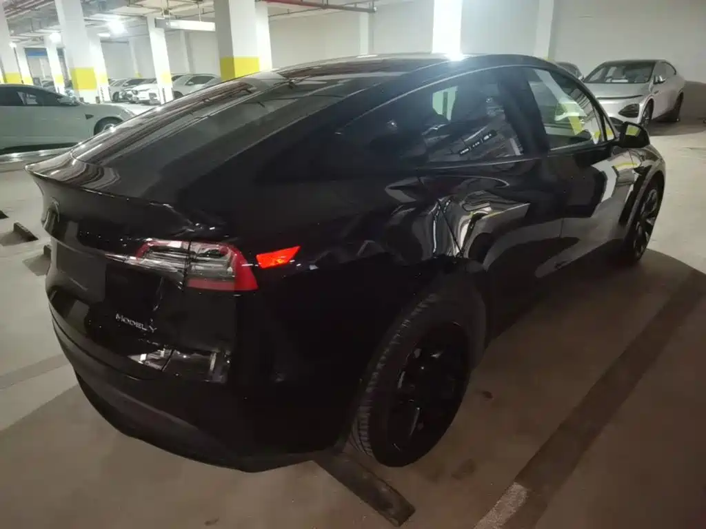 Tesla Model Y — миниатюра 7