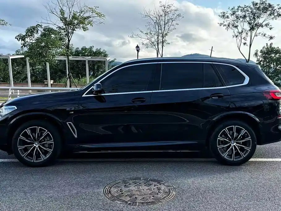 BMW X5 — миниатюра 3