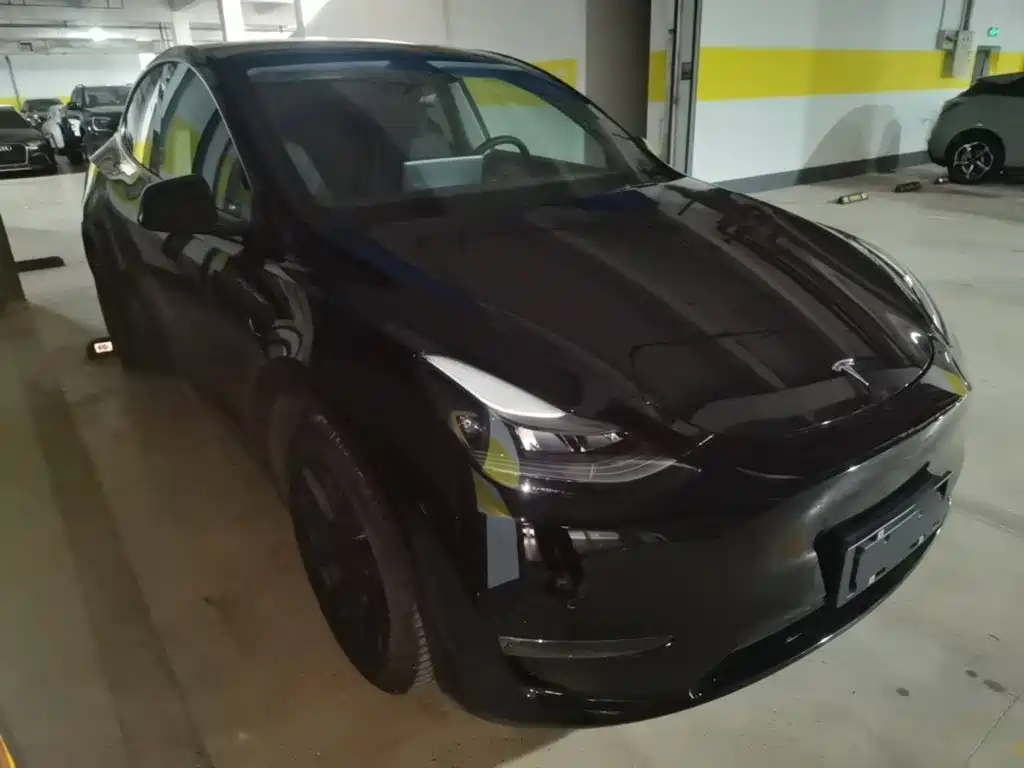 Tesla Model Y — миниатюра 4