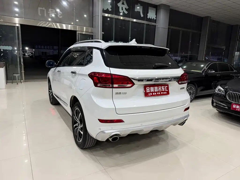 Haval H6 Coupe — миниатюра 13