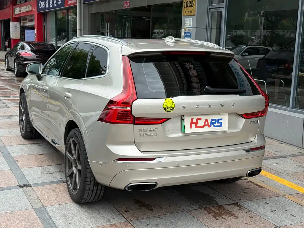 Volvo XC60 2019 T8 E Luxury VI