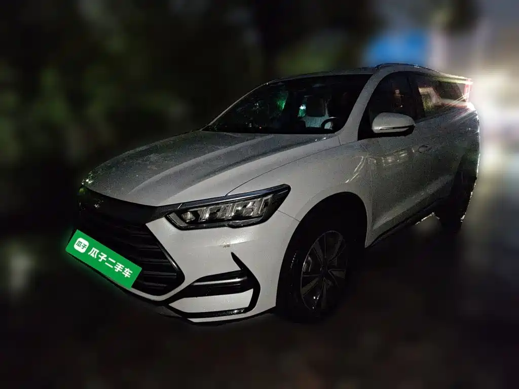 BYD Pro New Energy