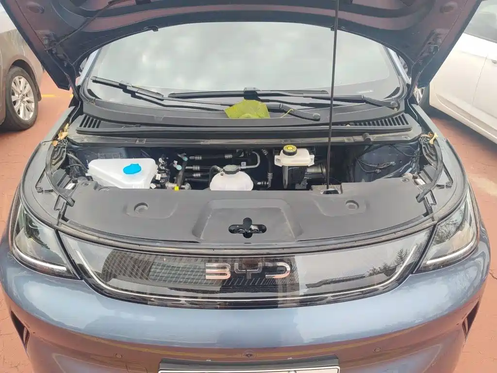 BYD Dolphin — миниатюра 16