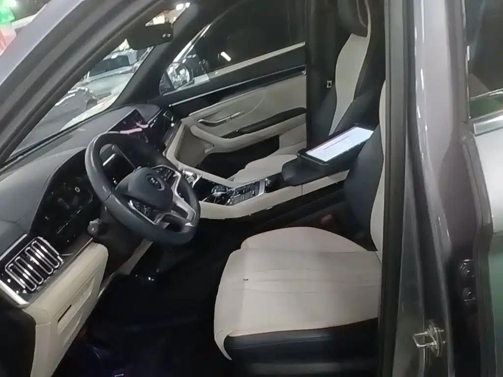 BYD PLUS New Energy — миниатюра 15
