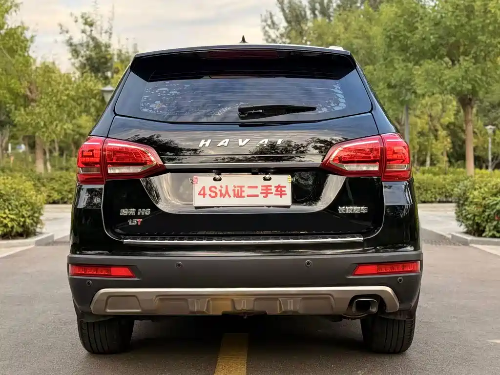 Haval H6 — миниатюра 11