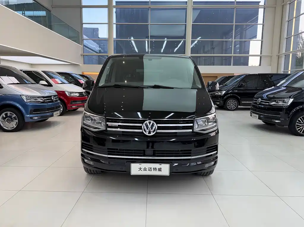 Volkswagen Multivan — миниатюра 2