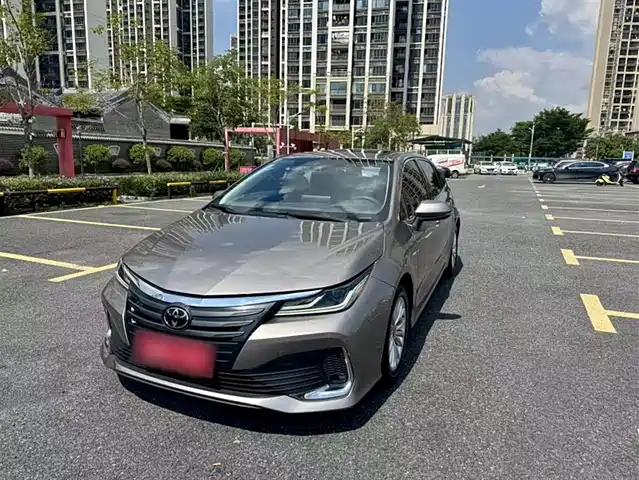 TOYOTA ASIAN LION
