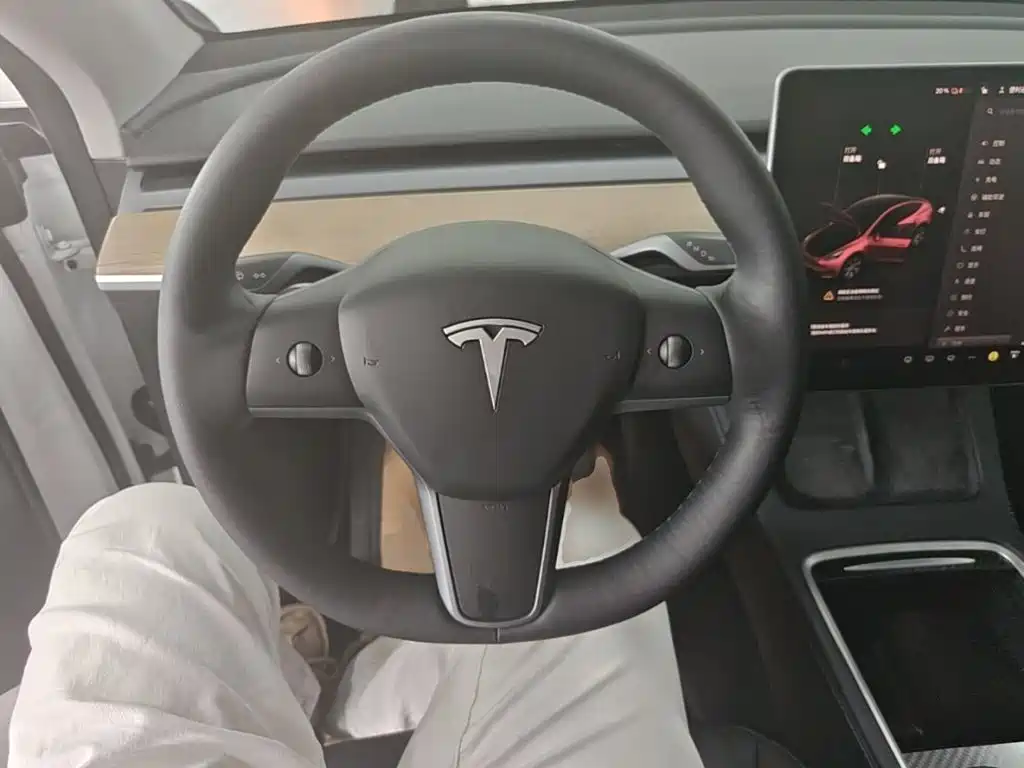 Tesla Model Y — фотографии объявления, Фото 11