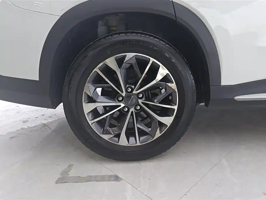 SAIC MAXUS CHASE D60